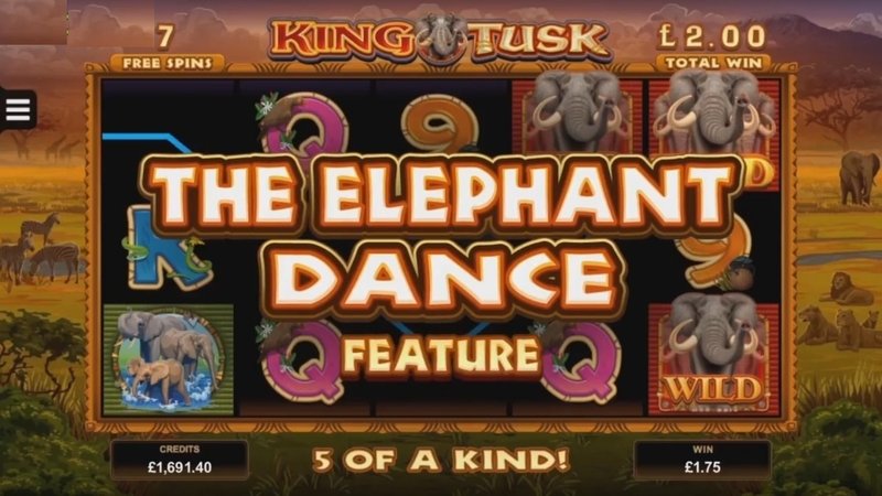 elefante casino ganhar