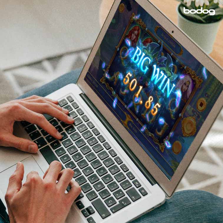 Persona jugando al slot Fairy Wins desde la computadora