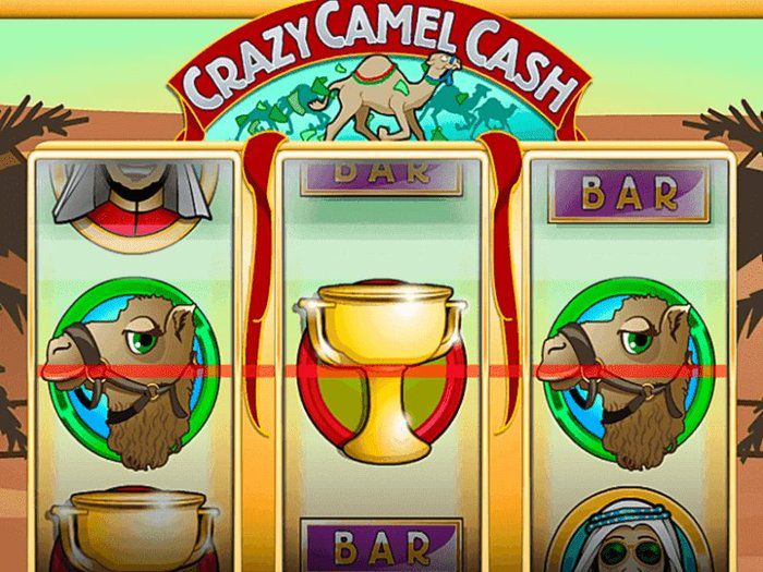 crazy camel cash points bodog