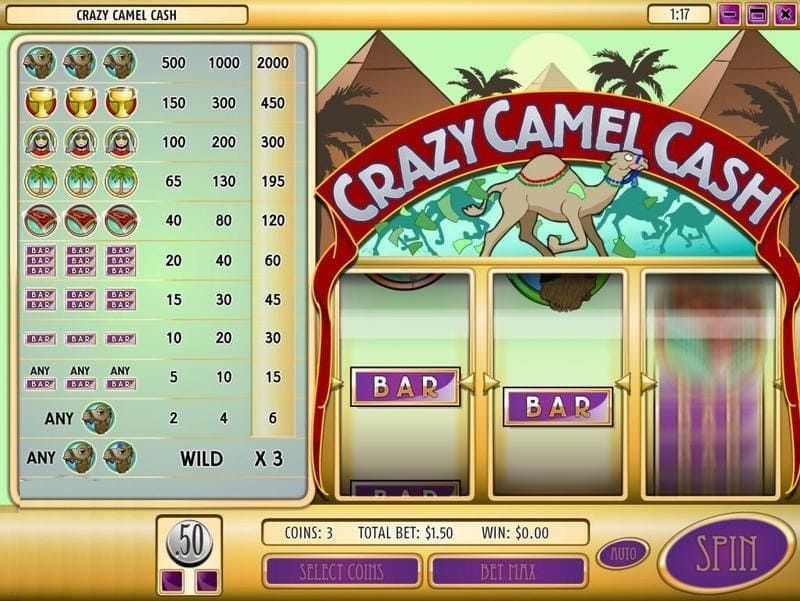 crazy camel cash score bodog