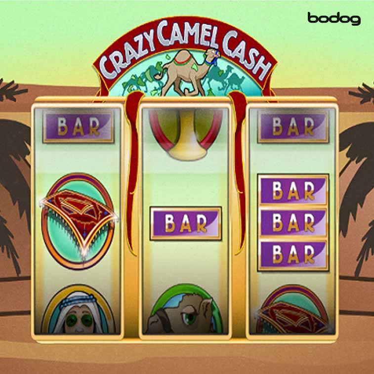 Crazy Camel Cash