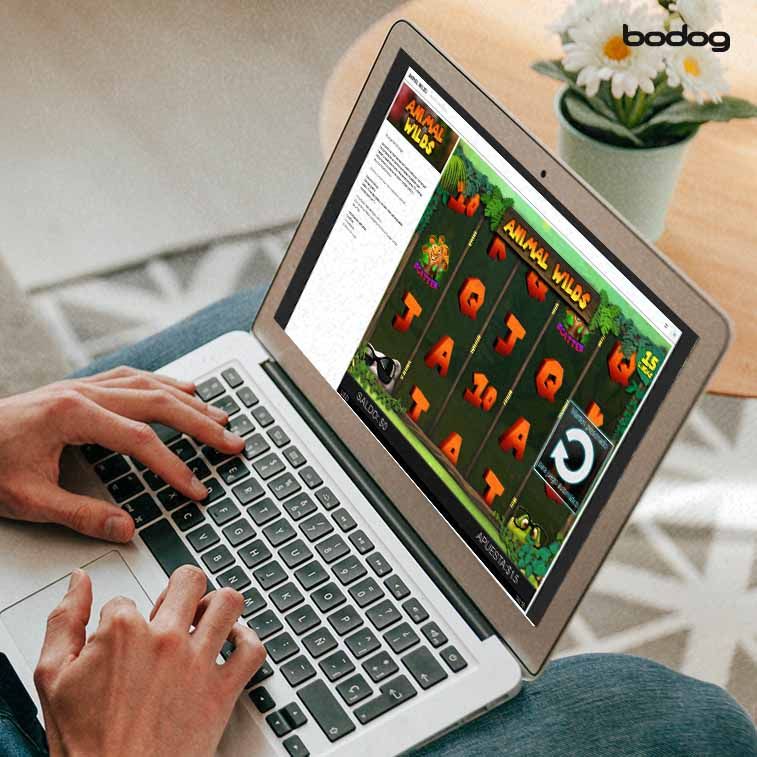 Persona jugando al slot Animal Wilds