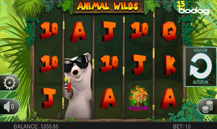 Símbolos de Animal Wilds