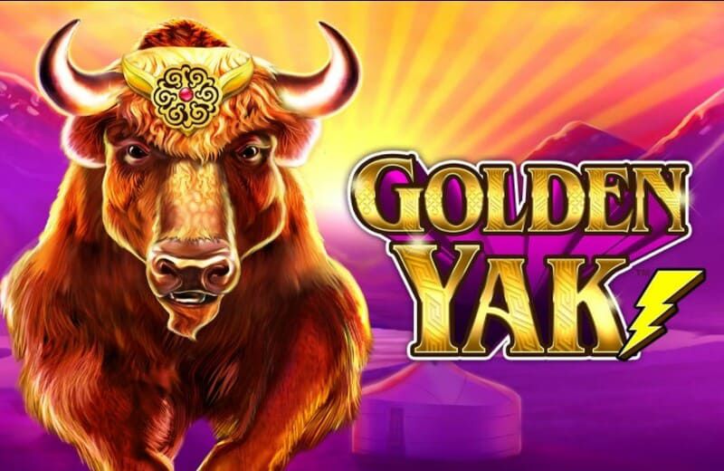 golden yak caca niquel bodog 1