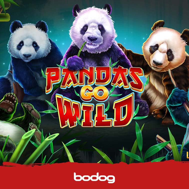 Pandas Go Wild