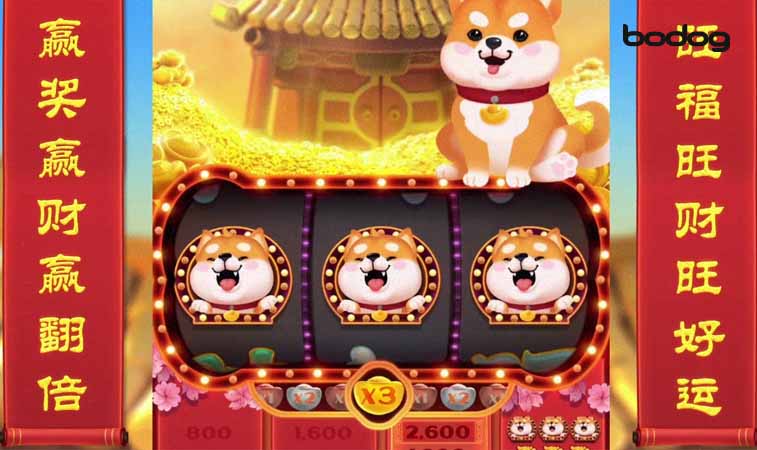 Perritos del juego win win won