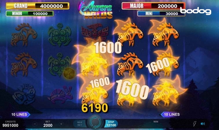 Botes y Jackpots