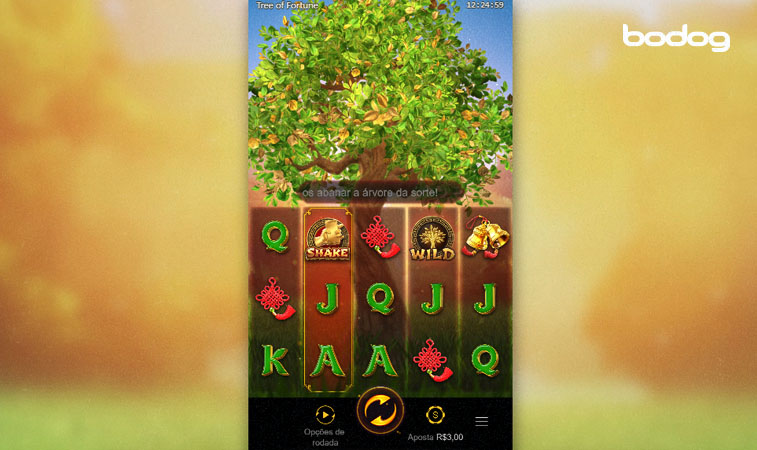 Tela do jogo aberta com combinações e símbolo wild do slot