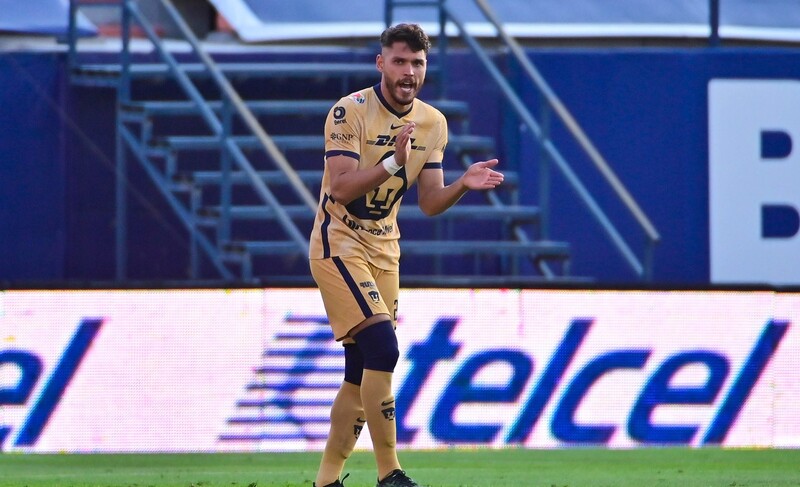 freire pumas