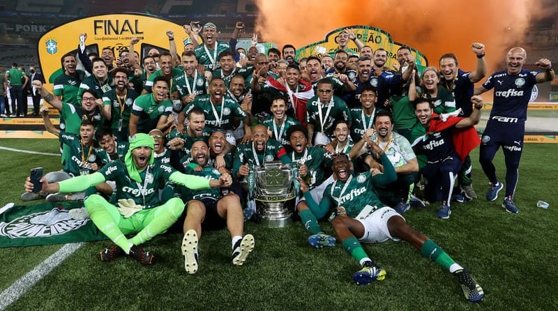 palmeiras campeao copa brasil