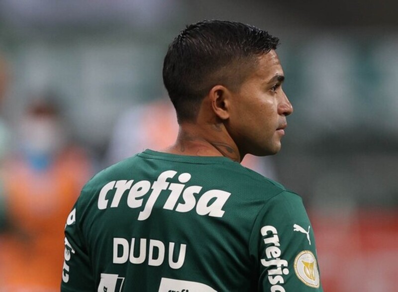 dudu palmeiras