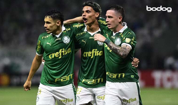 Como está o Palmeiras no Brasileirão