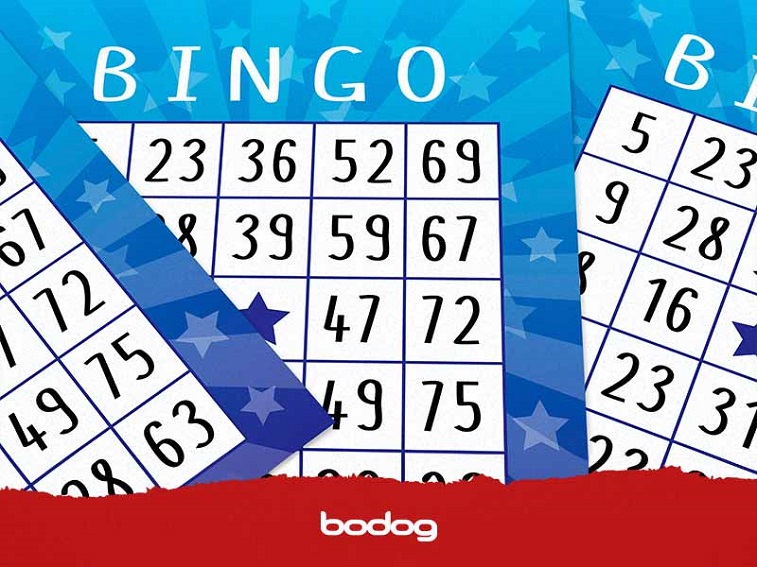 Os 10 erros mais frequentes ao jogar vídeo bingo