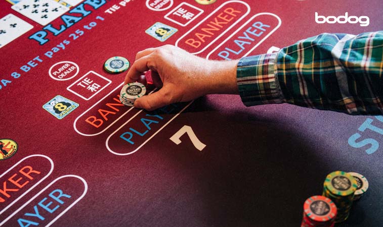 Grandes apuestas y resistencia en el juego