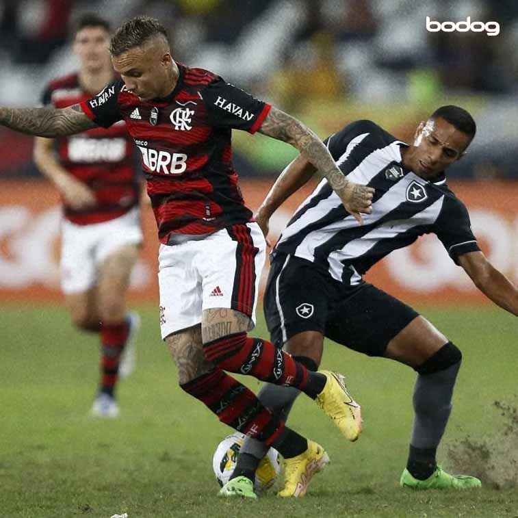 Historia de enfrentamientos entre Flamengo y Botafogo