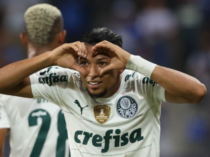 palmeiras roni