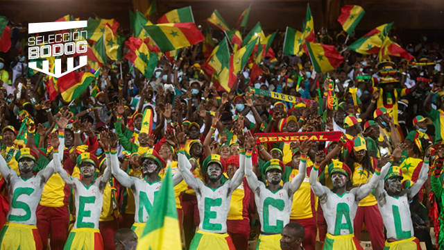 BODOG BLOG FOTOS senegal fans ESP