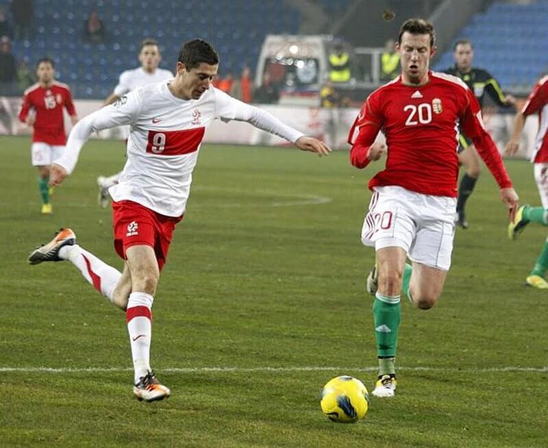 delantero polonia robert lewandowski