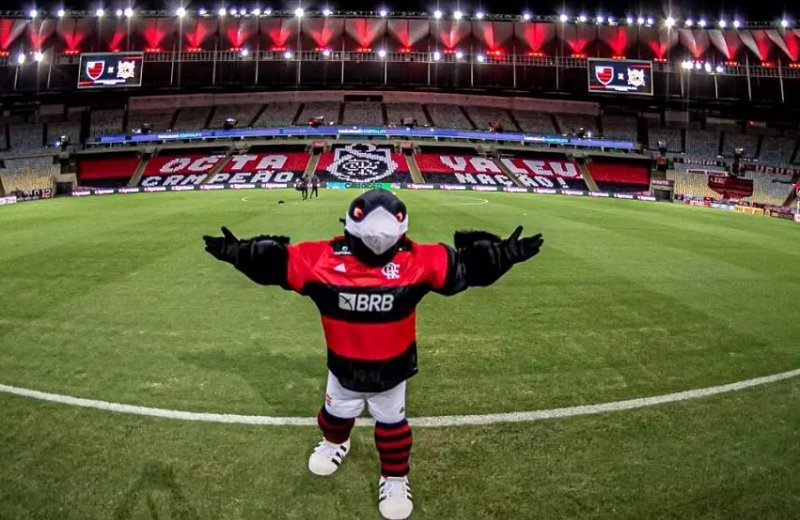 urubu mascote flamengo