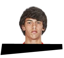 JOAO FELIX-qatar