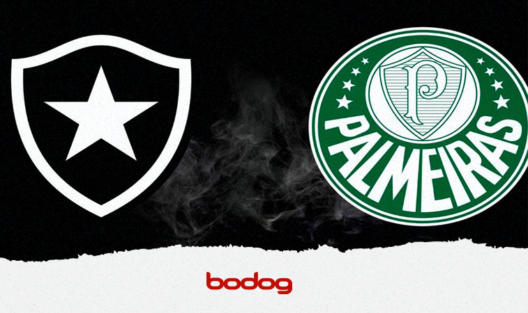 Botafogo vs Palmeiras: Un partidazo con historia en el Brasileirao