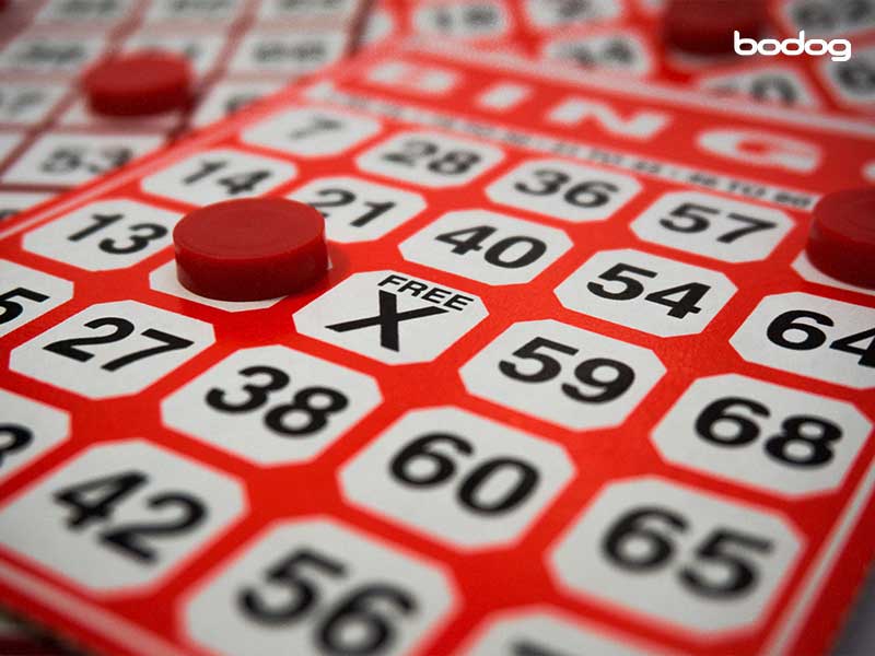 casino online bingo