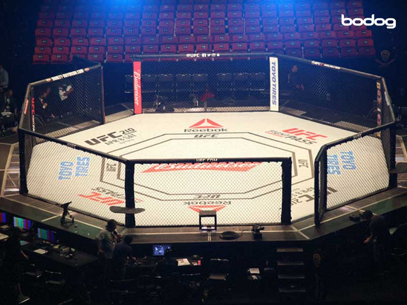 ufc ring brasil