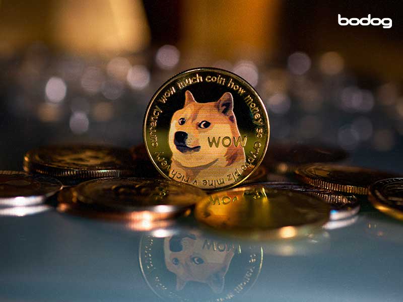 dogecoin moneda