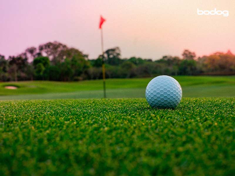 campo-golf-pelota