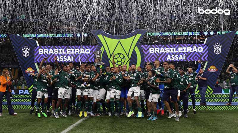 palmeiras campeao brasileirao