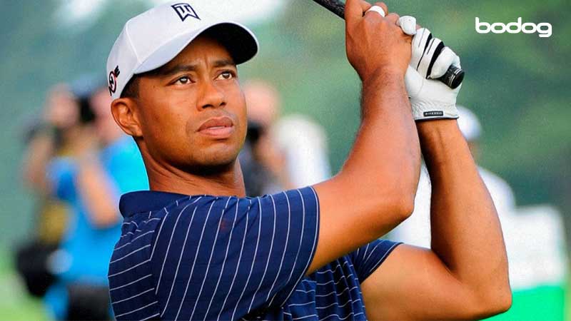 tiger woods golfe