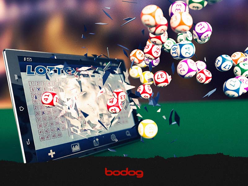 bingo online casino