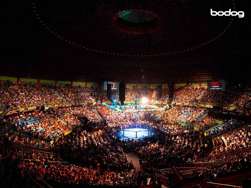 ufc arena luta