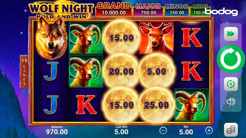 wolf night slot