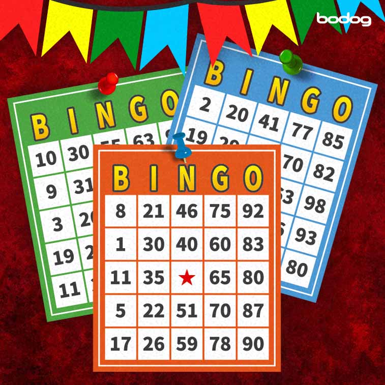 Dicas sobre como ganhar em bingo junino