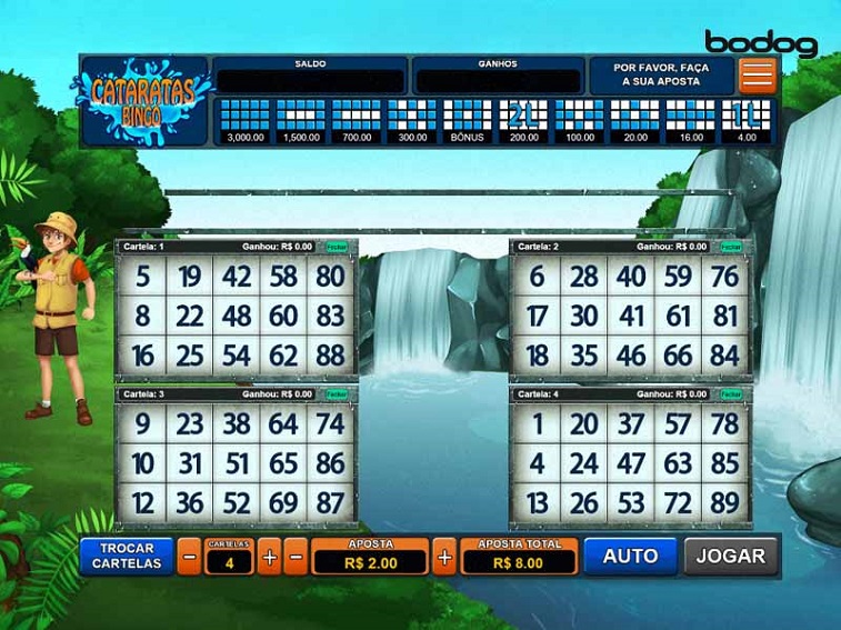 Cataratas Bingo