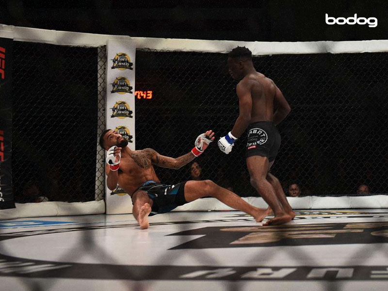 lutadores mma ufc