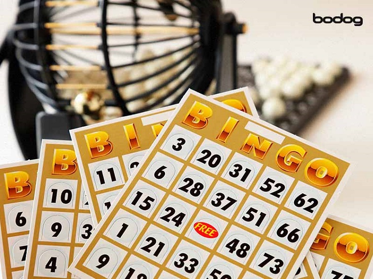 Dicas para ganhar no bingo junino