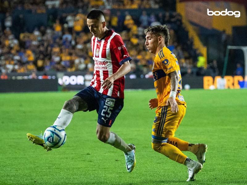 mexico chivas tigres