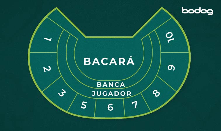 Gráfica de una mesa de Midi Baccarat