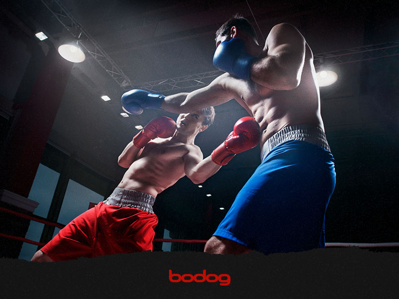 boxe aposta online