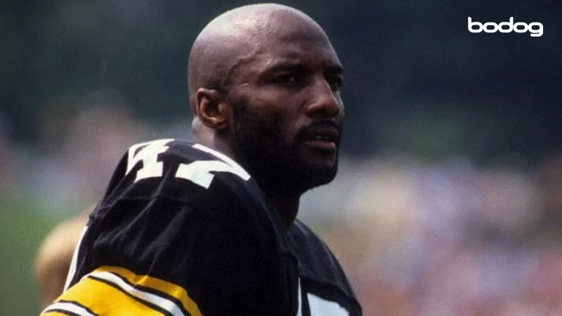 mel blount steelers