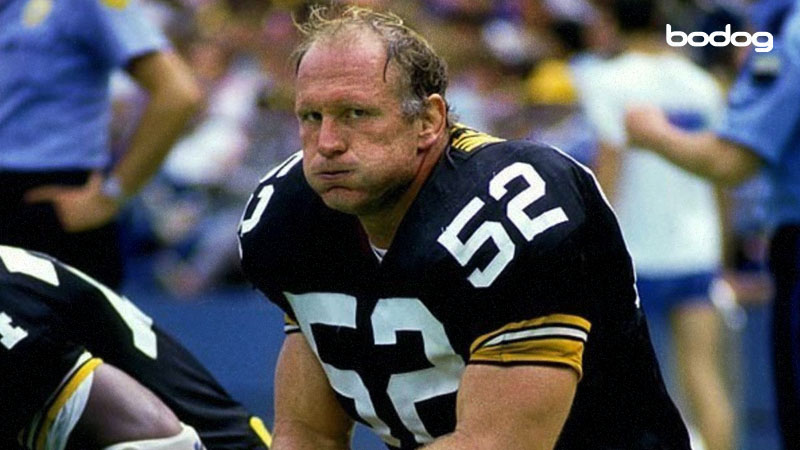 mike webster steelers