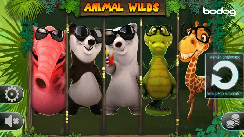 animal wilds slot