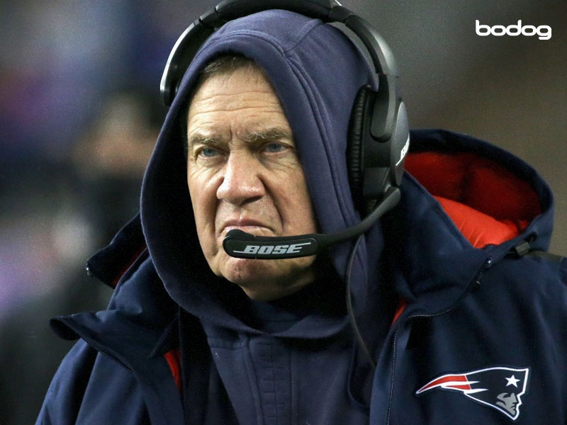 bill belichick patriots