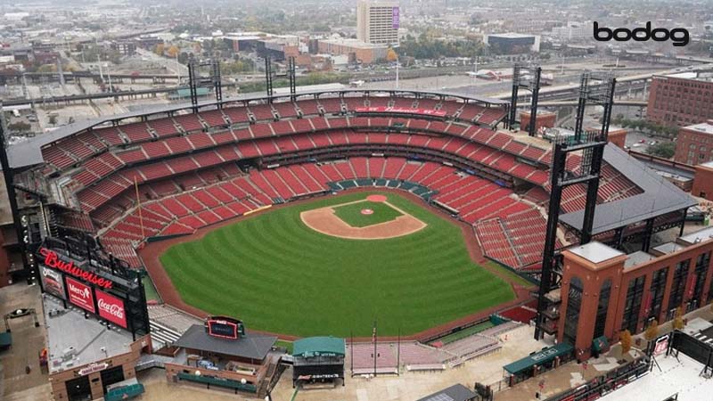 busch stadium cardinals