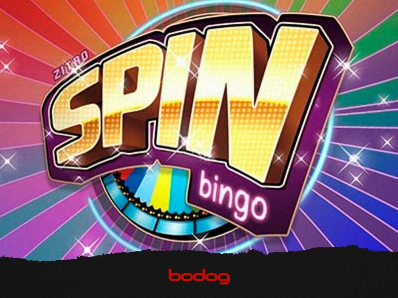 spin bingo aposta