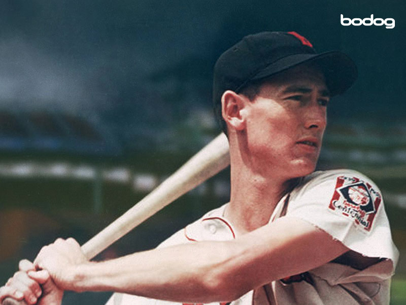 ted williams mlb