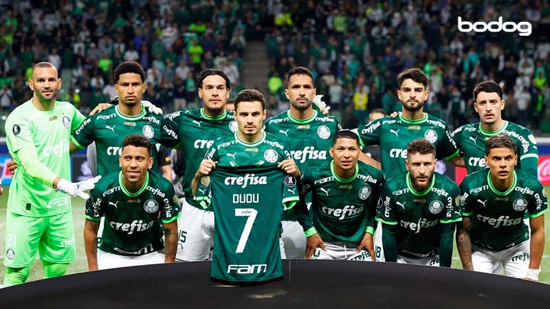 copa libertadores palmeiras