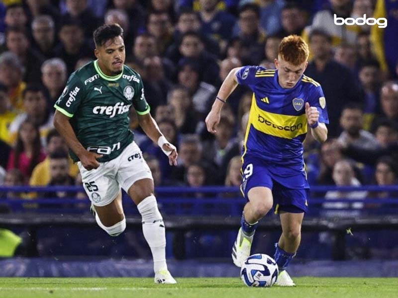 palmeiras boca libertadores